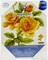 Diamond Dotz Pre-Framed Diamond Art Kit 14"X11"-Yellow Rose Bouquet
